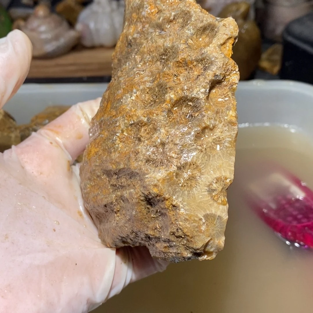 【闪购商品】硅化玉颈饰未镶嵌