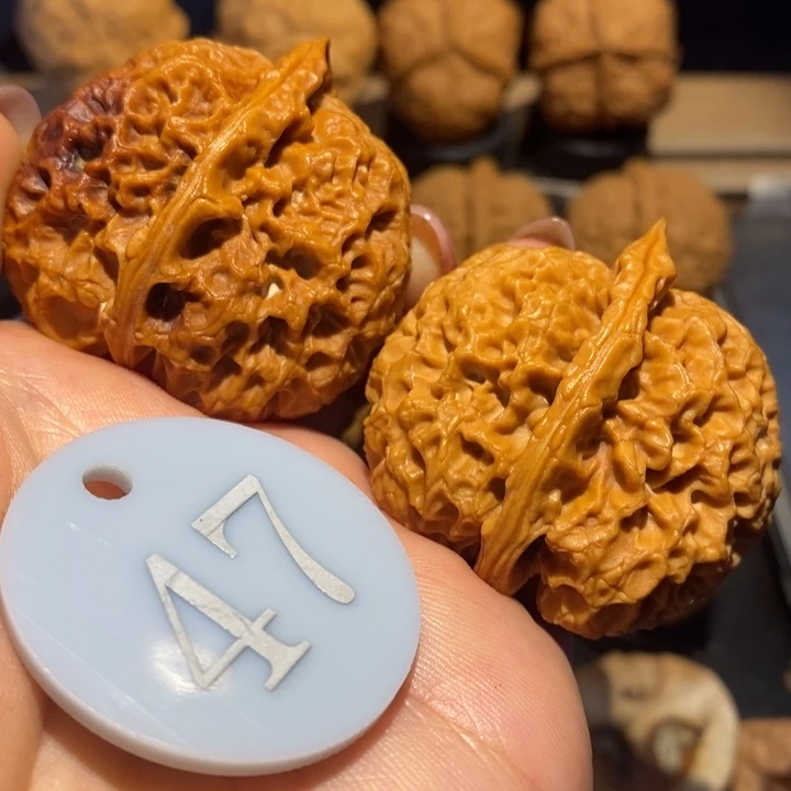 核桃太湖石核桃尺寸42