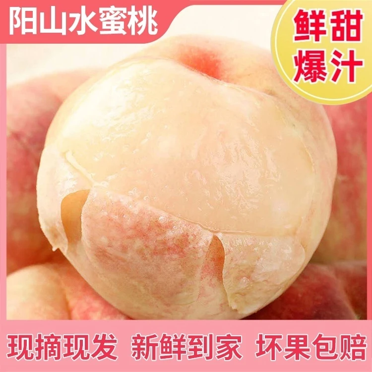【7-6两无锡阳山水蜜桃】正宗无锡阳山水蜜桃应季新鲜爆汁顺丰/京东