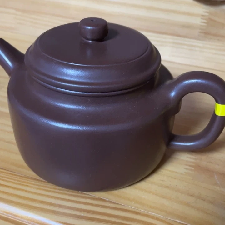 底槽青茶壶紫砂艺术作品