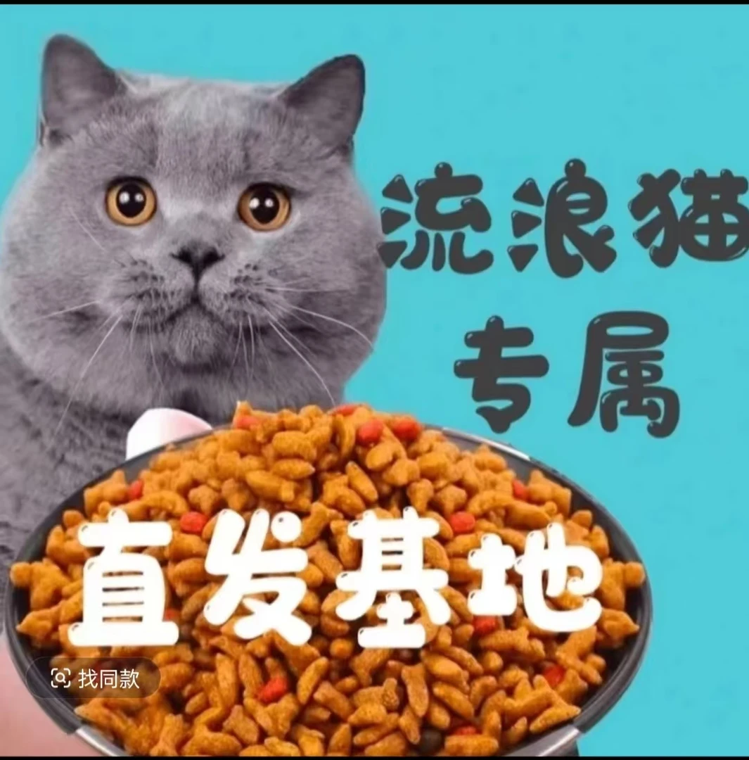 直接【发基地】（自用勿拍）全阶段猫粮