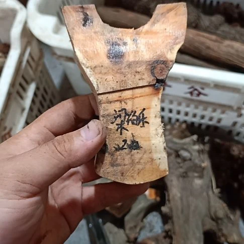 梁***箱大果紫檀（缅甸花梨）