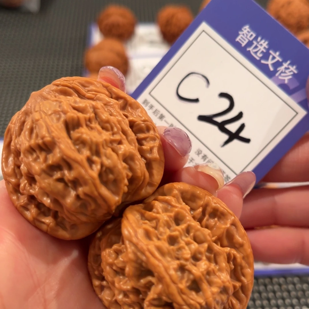 核桃C24号麦虎4.2