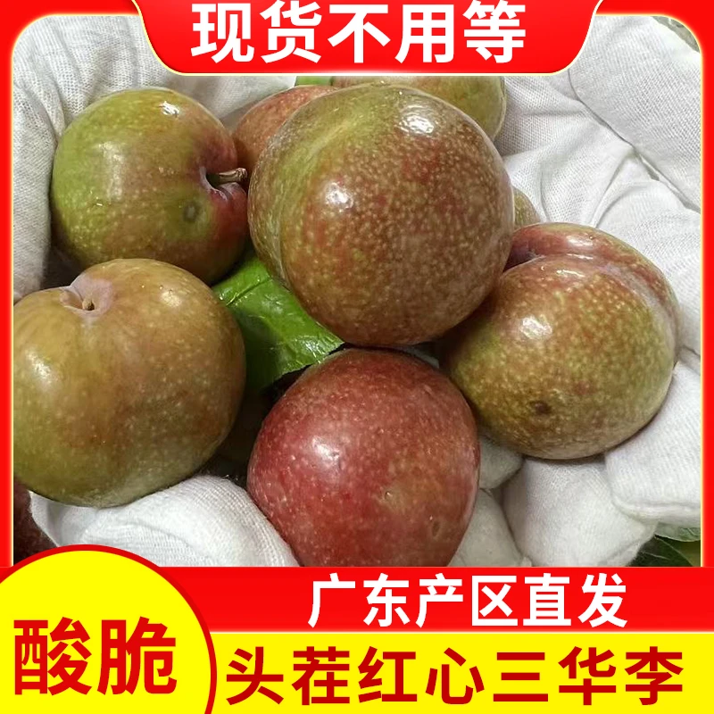 【现货】广东三华李红心李酸涩爽脆李子新鲜当季应季水果早红心李子