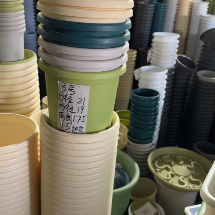 微瑕3#口径21无托果绿10个