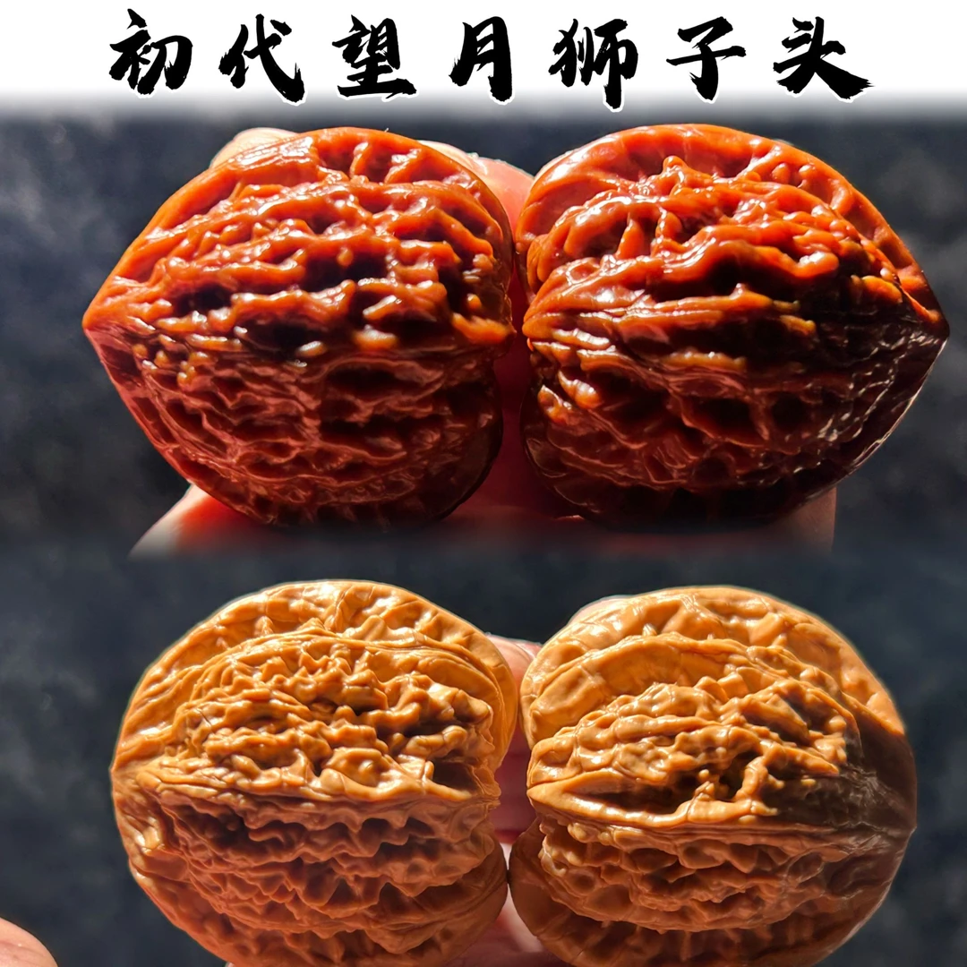 【鑫启专属】XQ73初代望月狮子头 （打底） 文玩核桃