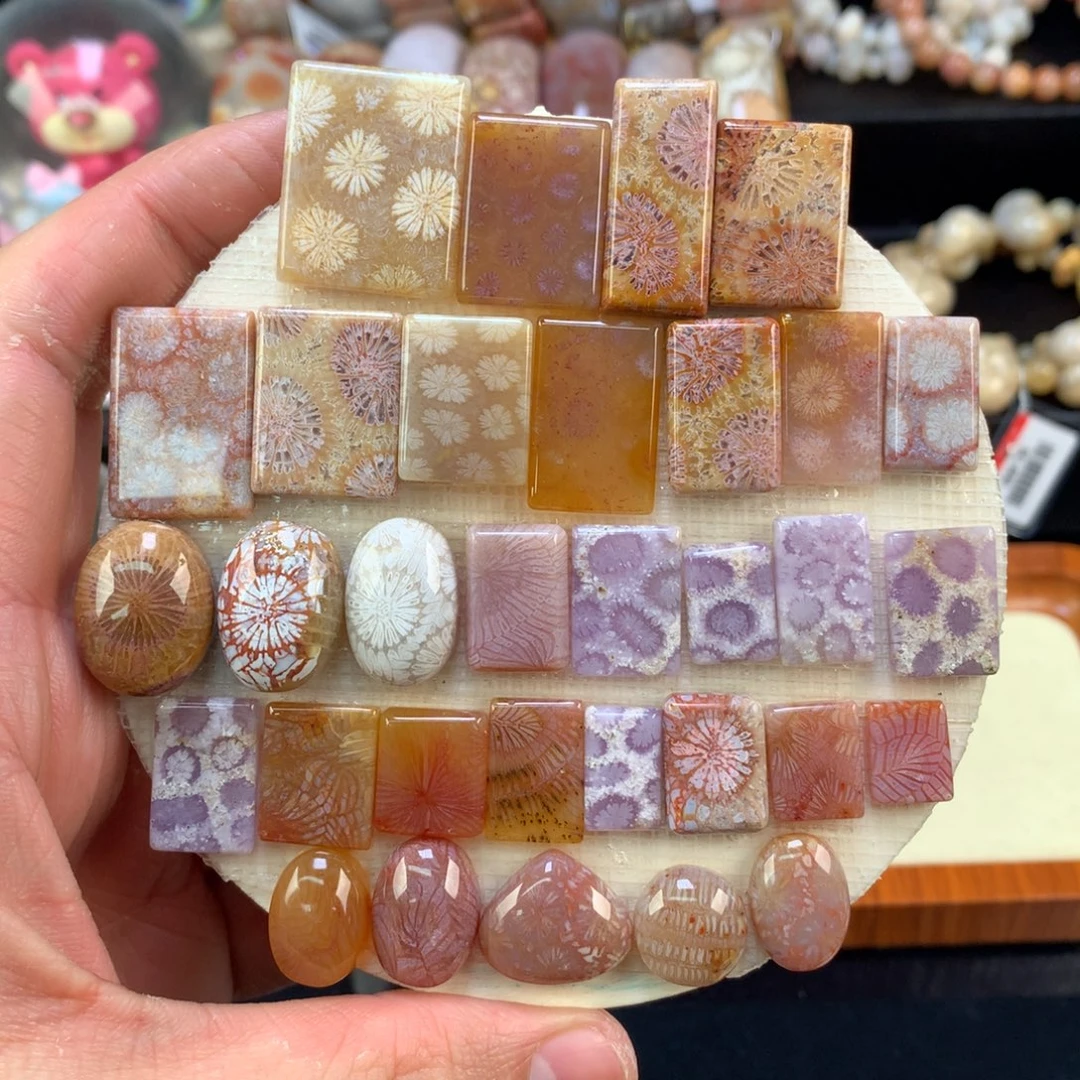 硅化珊瑚（珊瑚玉）未镶嵌手链23号单价80可挑选