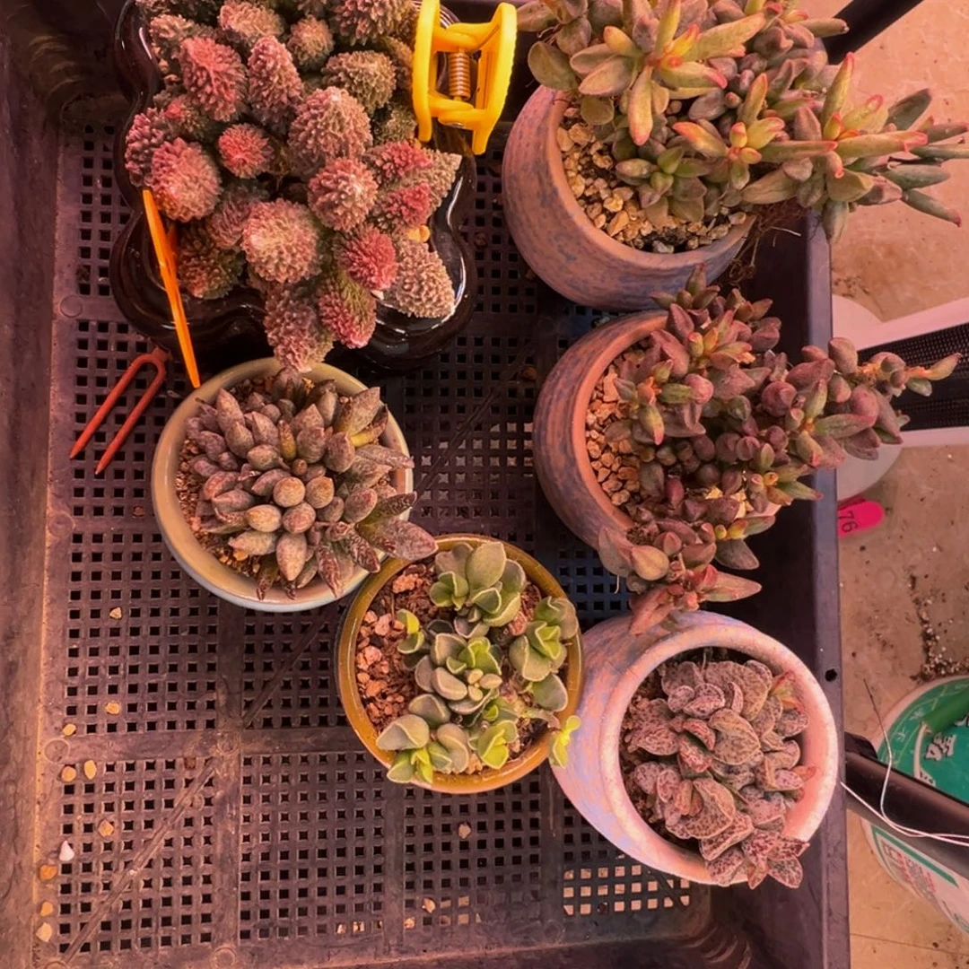 靖***雯我们也在这里吃早餐