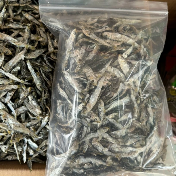 小鱼干青兰鱼干即食当零食吃小汕尾红海湾淡晒无盐无添加姑仔鱼干