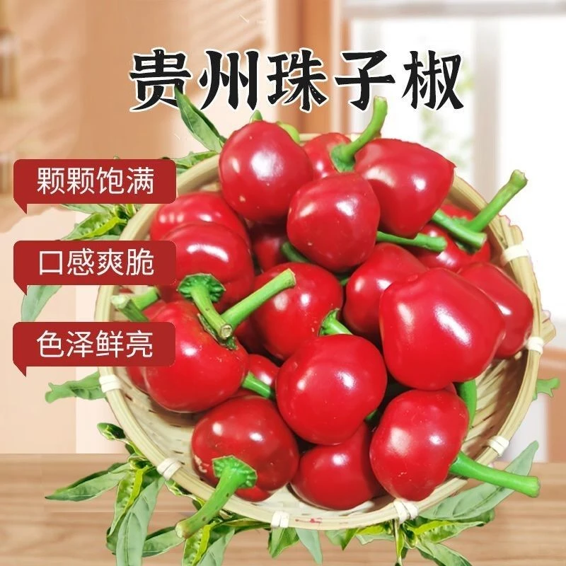 灯笼椒贵州珠子椒泡椒专用辣椒云南高山辣椒露天辣椒灯笼椒天然