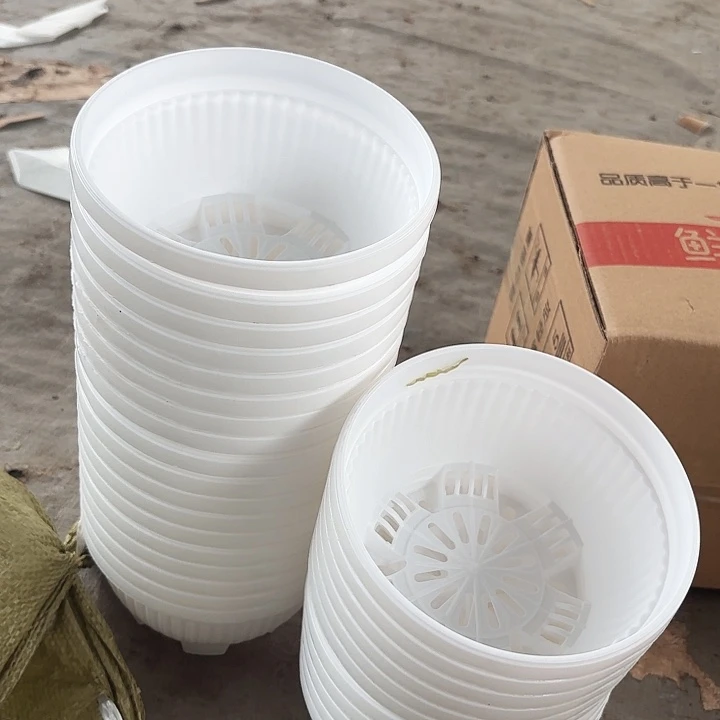 14公分白色聚宝盆12个