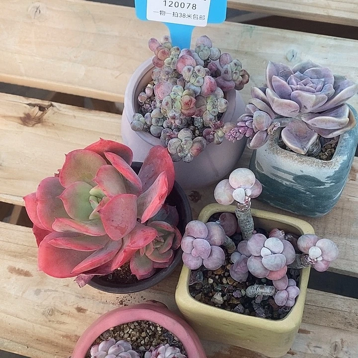 利润么落寞陌陌摸摸我考虑考虑