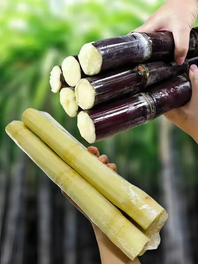 新鲜广西正宗黑皮甘蔗现砍当季水果清甜多汁特产清甜可口