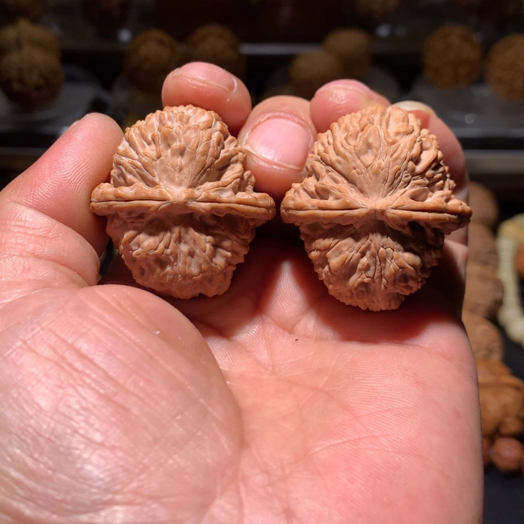 40+全然三角白狮子一物一图