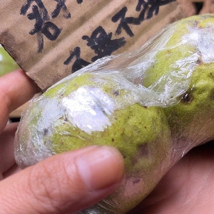 Z***L手串/手链核桃福利