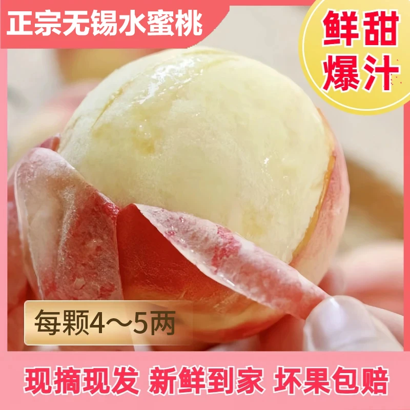 【无锡正宗水蜜桃】8颗4-5两皮薄多汁行走的榨汁机夏日尝鲜香江苏省