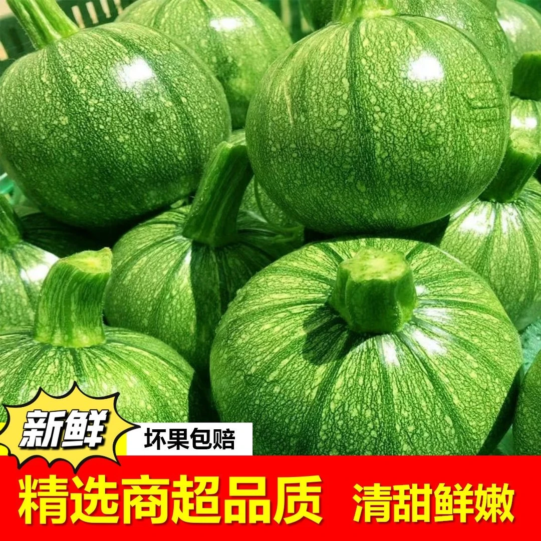 【现摘现发】高山小南瓜新鲜清甜脆嫩小圆瓜嫩南瓜西葫芦应季蔬菜