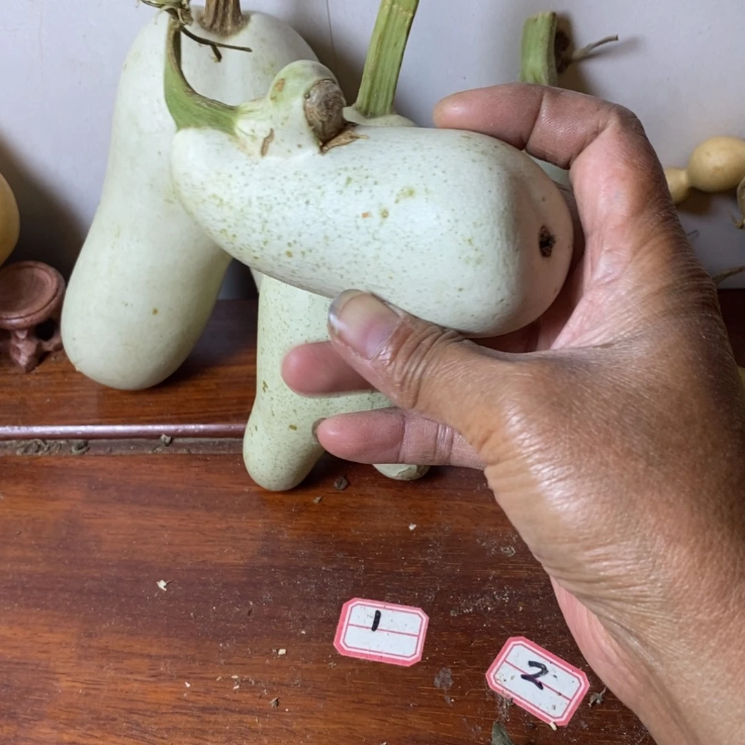小***～青皮腰子葫芦手把件葫芦