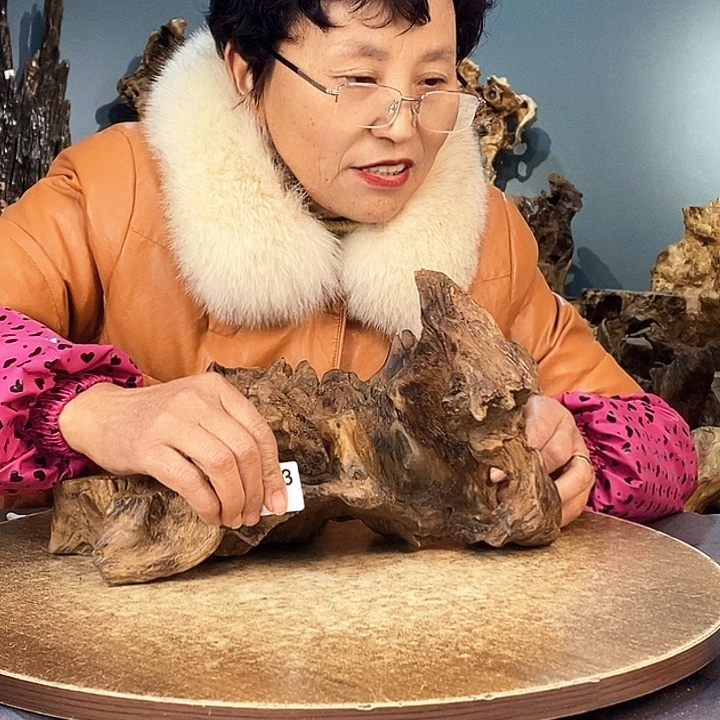 茶盏妍*393株木的随行的根艺