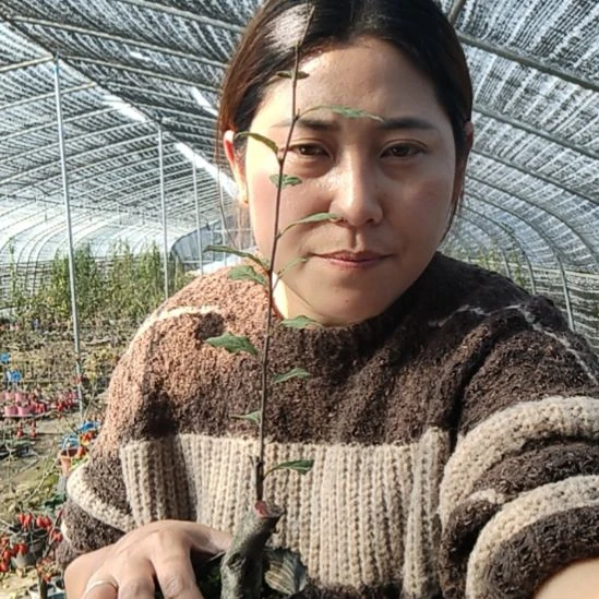 金***银完全开放老鸭扁桃心