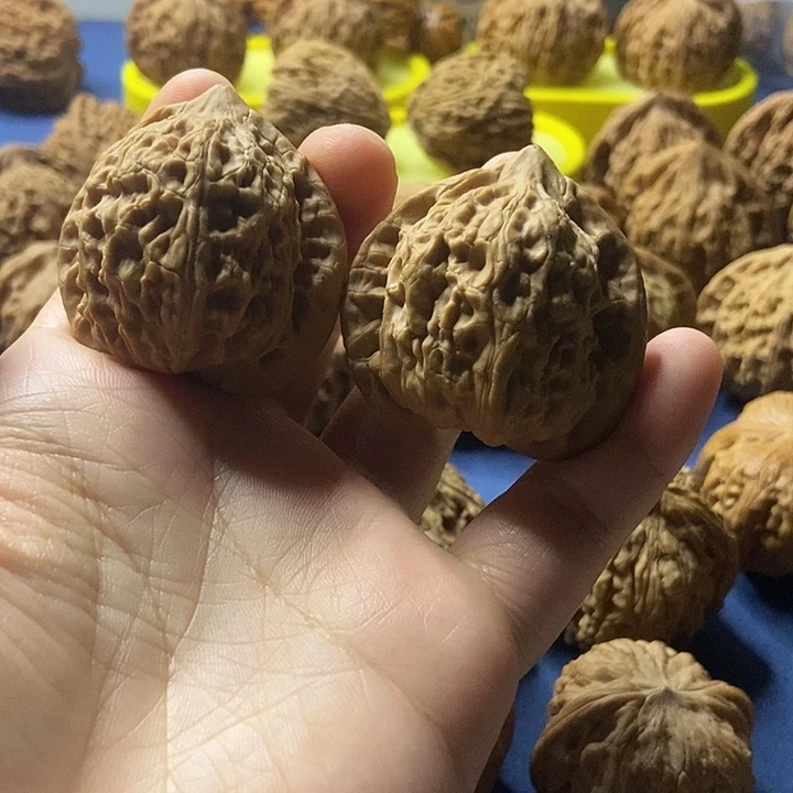 金***$文玩核桃  景公子