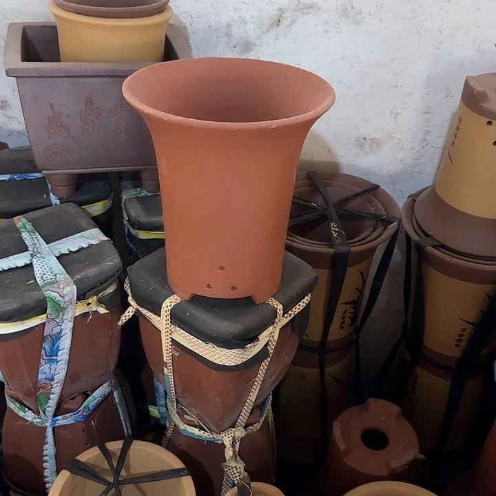 行***州30只红色特价清仓