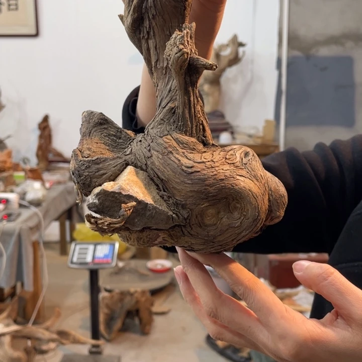 家****1我们都是好孩子呀