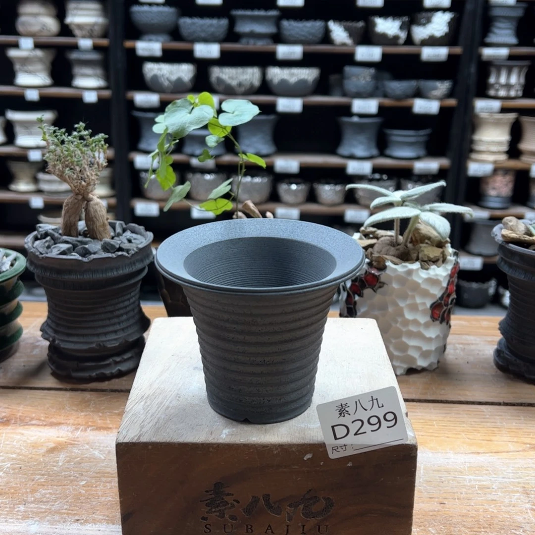 素八九陶瓷内口8高8.5蛋