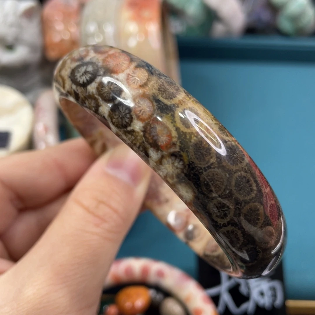 未镶嵌手镯硅化玉