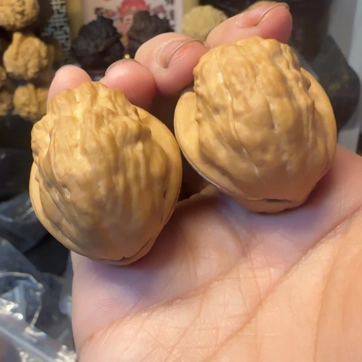 深***海文玩核桃吊坠网红甲壳虫