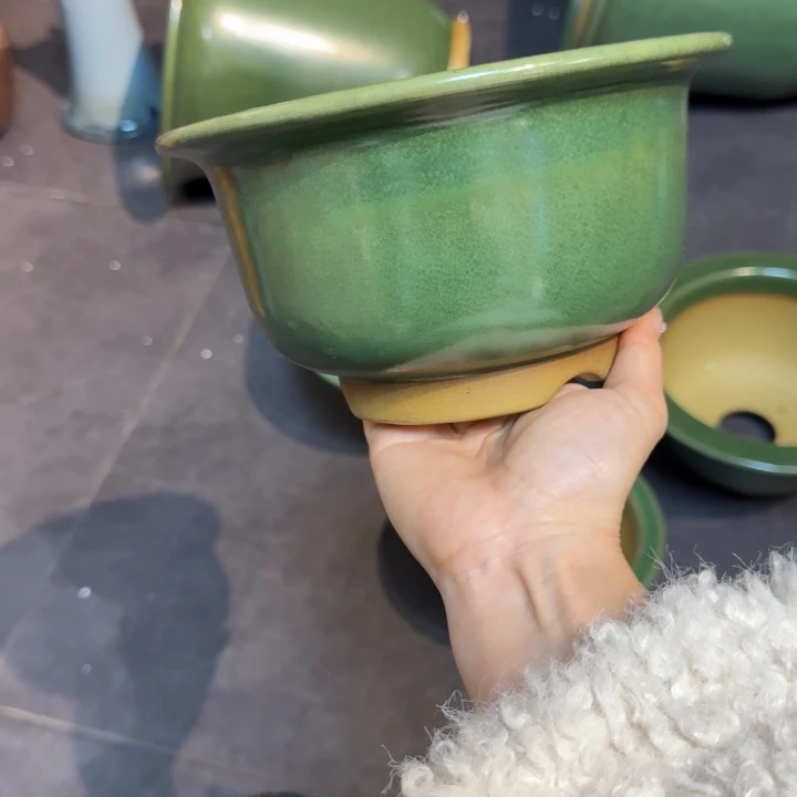 荷***月紫砂花盆福利来了来了来了