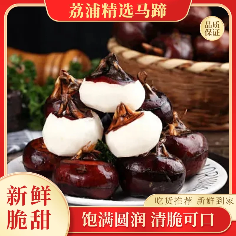 【5斤装】广西桂林马蹄清香脆甜荸荠