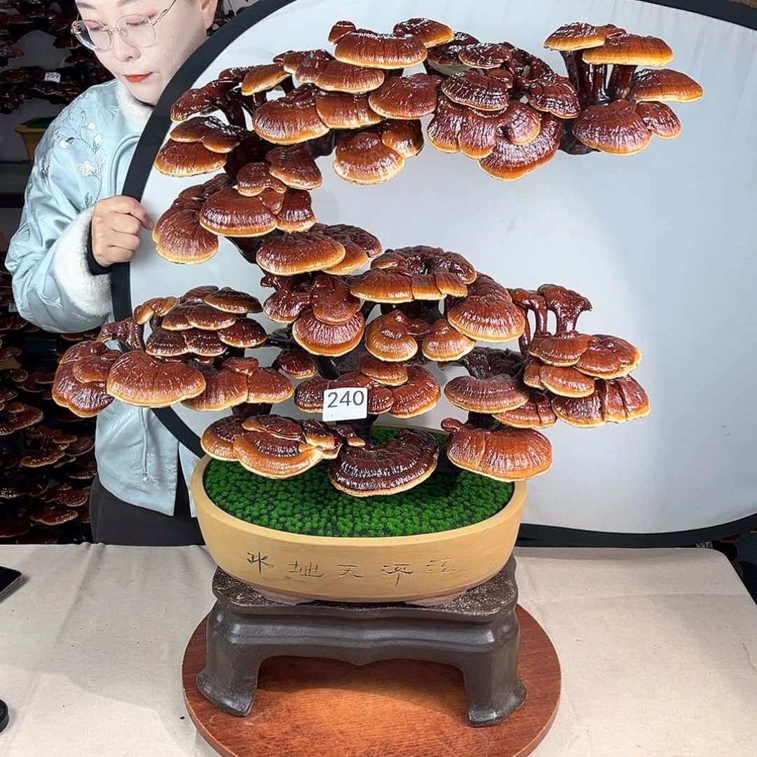 万事如意88888240