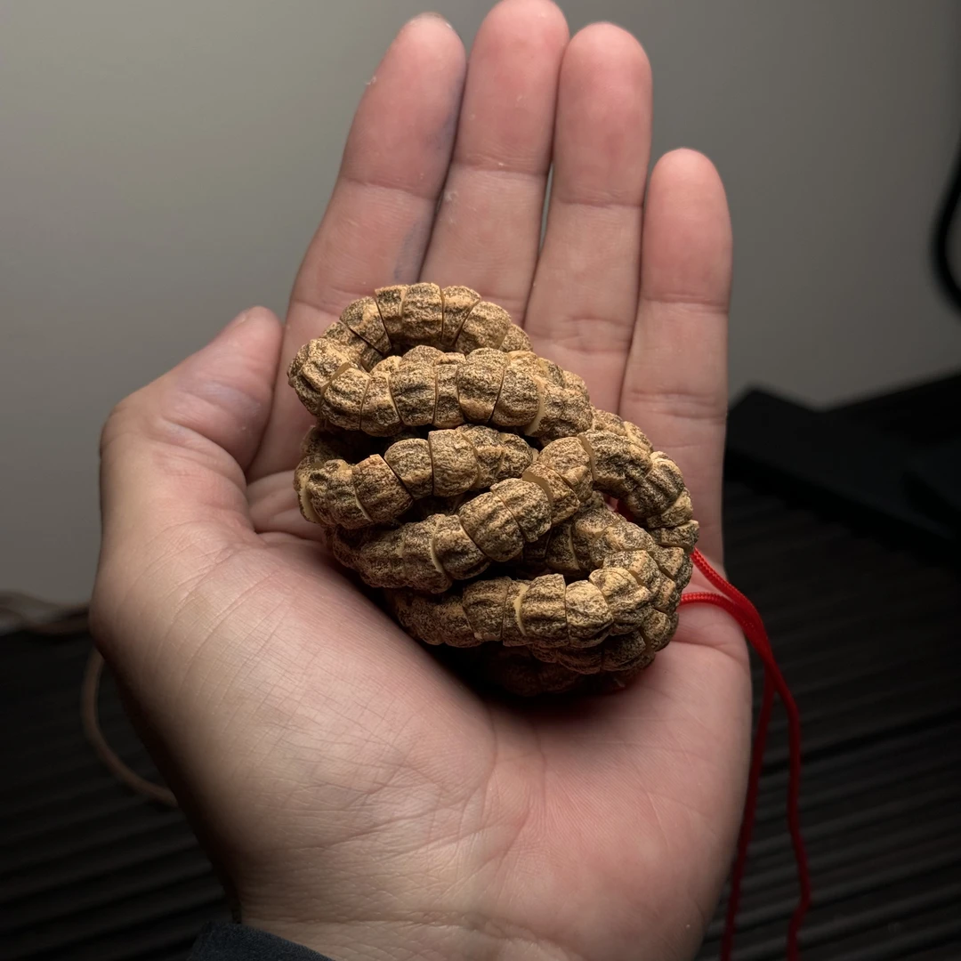 热振柏香籽脏麻皮斜切肠尺寸9左右