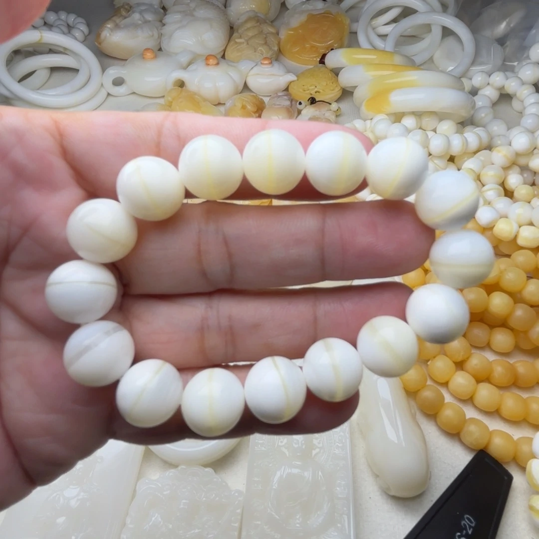 非金属贝壳大****开天然贝壳