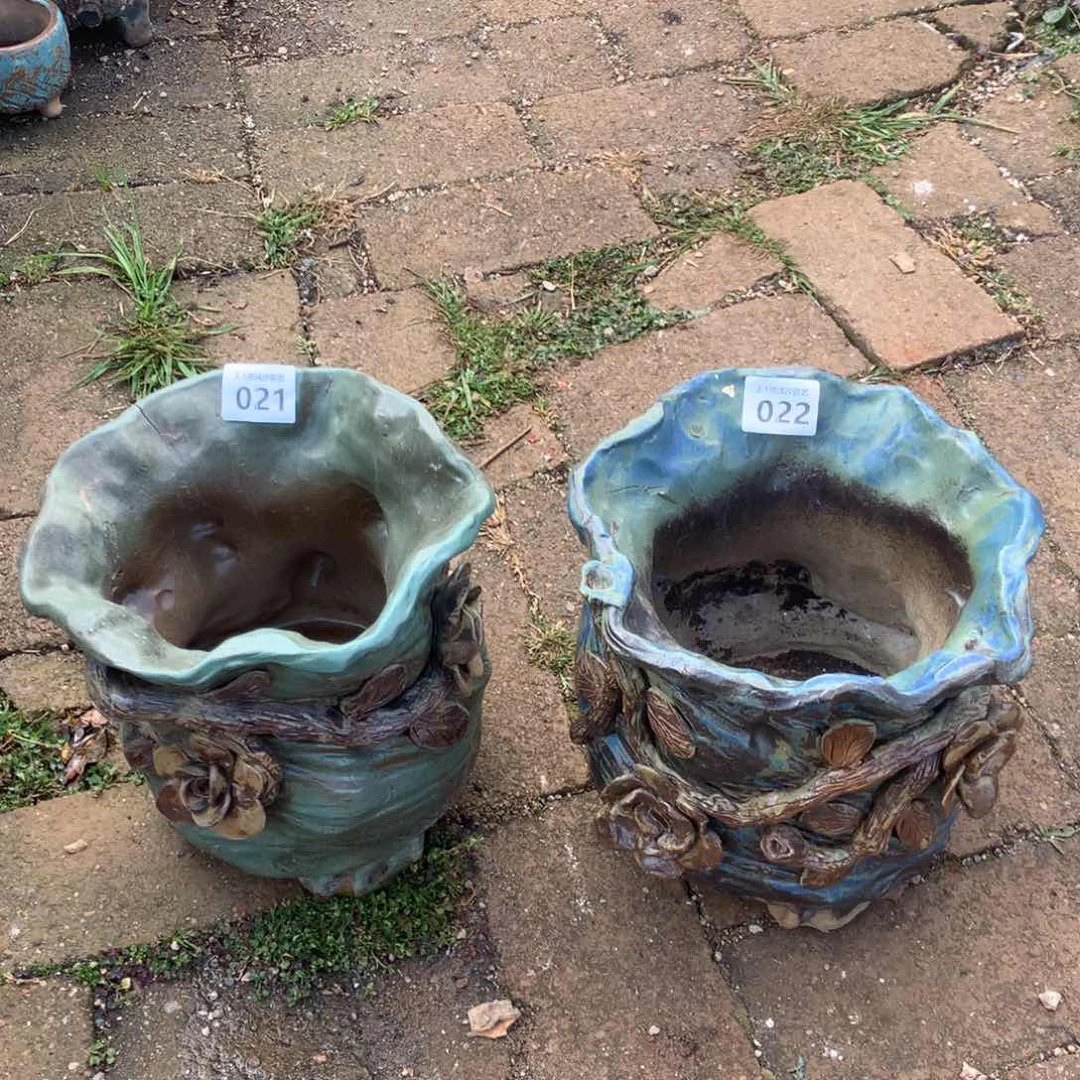 墨**～两个仙女盆，2月8日发货多肉