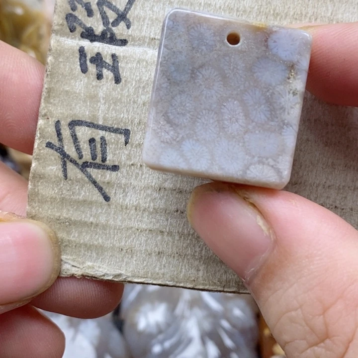颈饰未镶嵌硅化珊瑚（珊瑚玉）淡*水有瑕 小