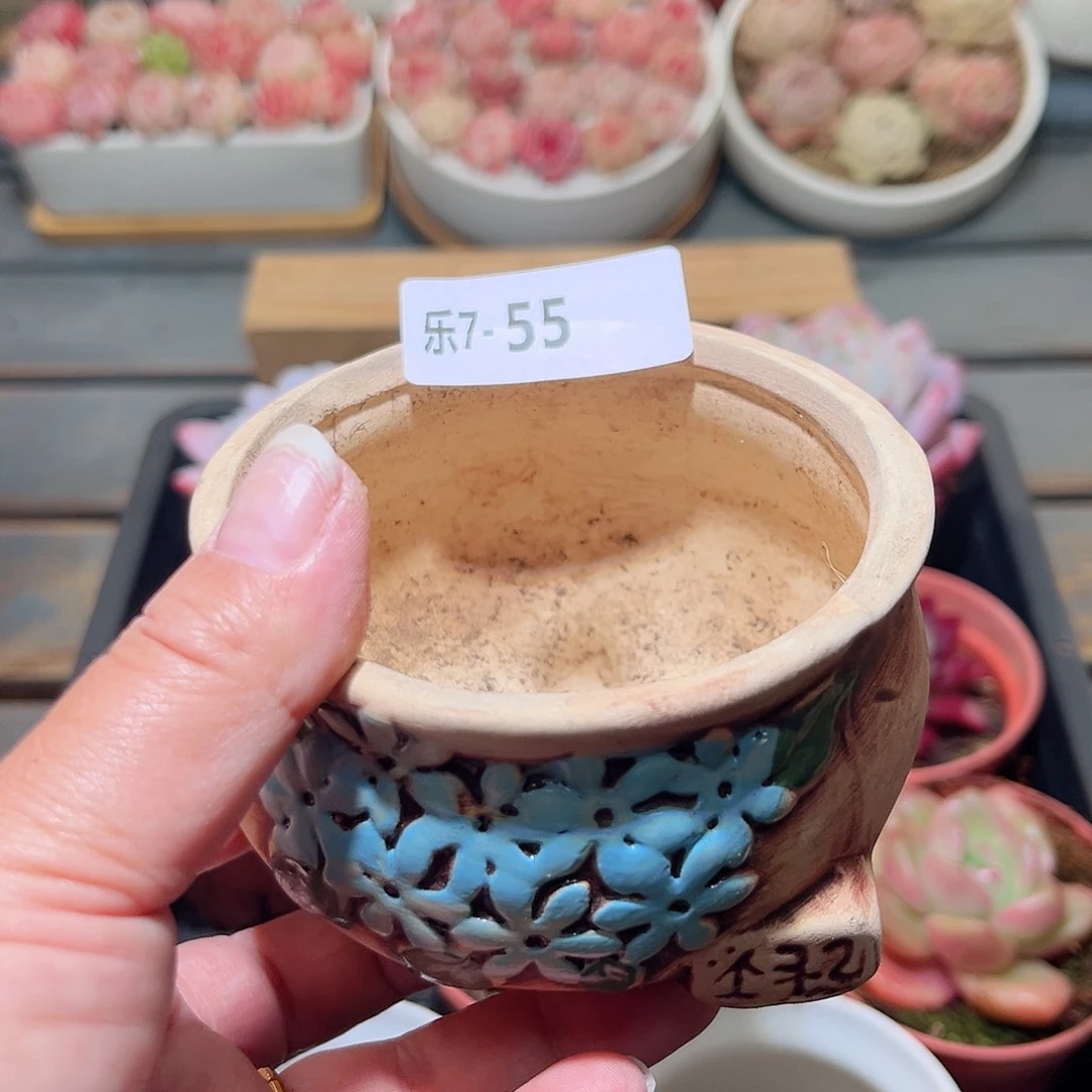 乐7-55 花盆一个