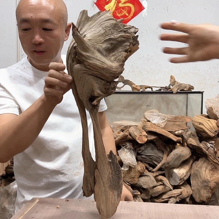 柏木云*我们的生活是以自己为