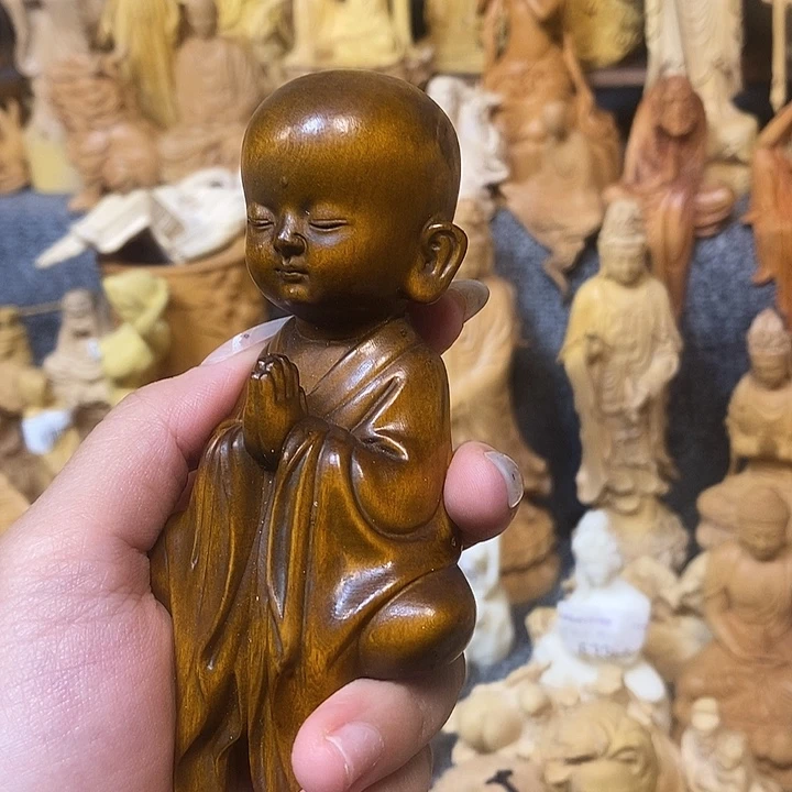 黄杨木黄杨木小叶瑕疵和尚