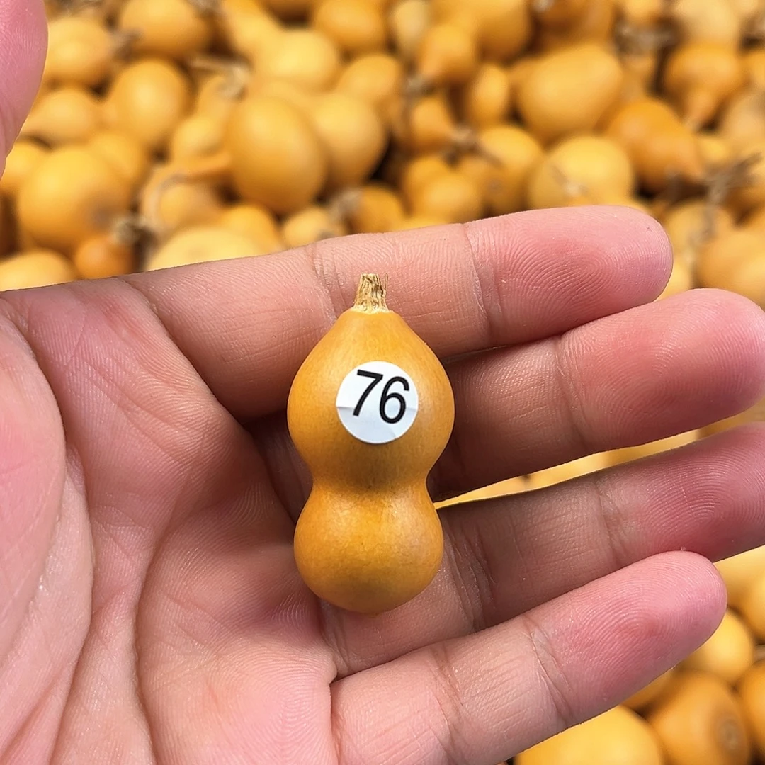四葫芦葫芦葫芦葫芦76