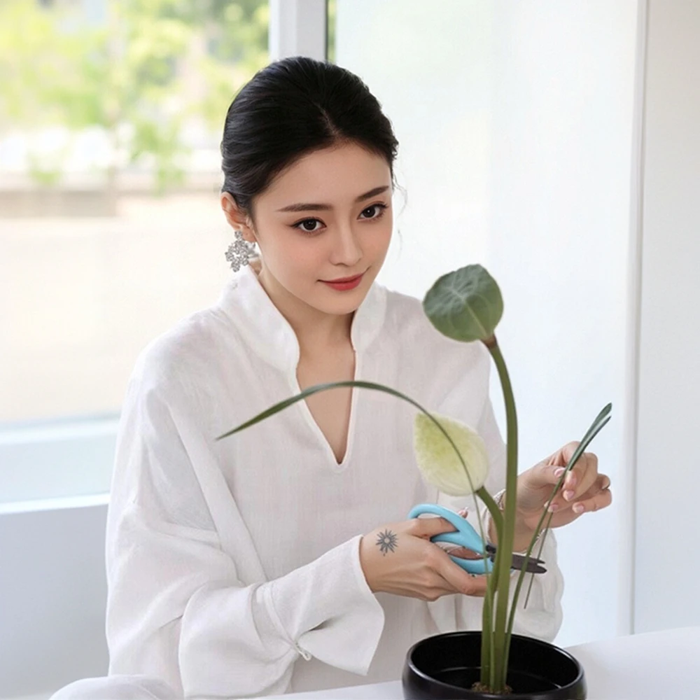 新中式白色衬衫女2025初秋时尚极简气质高级慵懒感国风大V领上衣