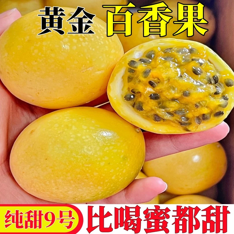 新人5斤大果更划算】广西钦蜜9号黄金百香果新鲜水果当季整箱批发
