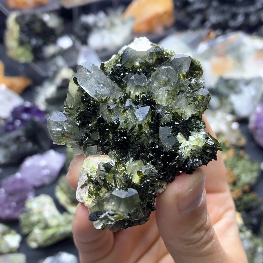 石材小驴偏爱的绿帘花园