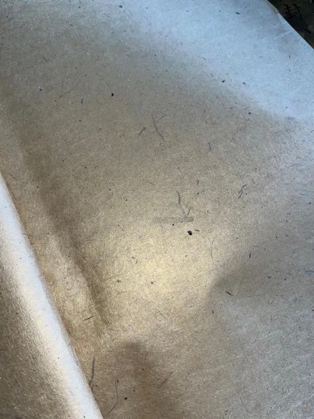 四尺整张“琥珀色”楮皮麻纸手工金箔砑粉笺三分熟50张