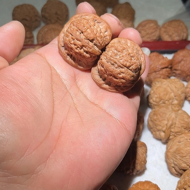 是***爷木40血麒麟。