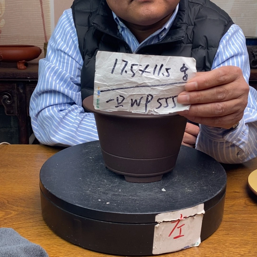 紫砂货号一只w p 555