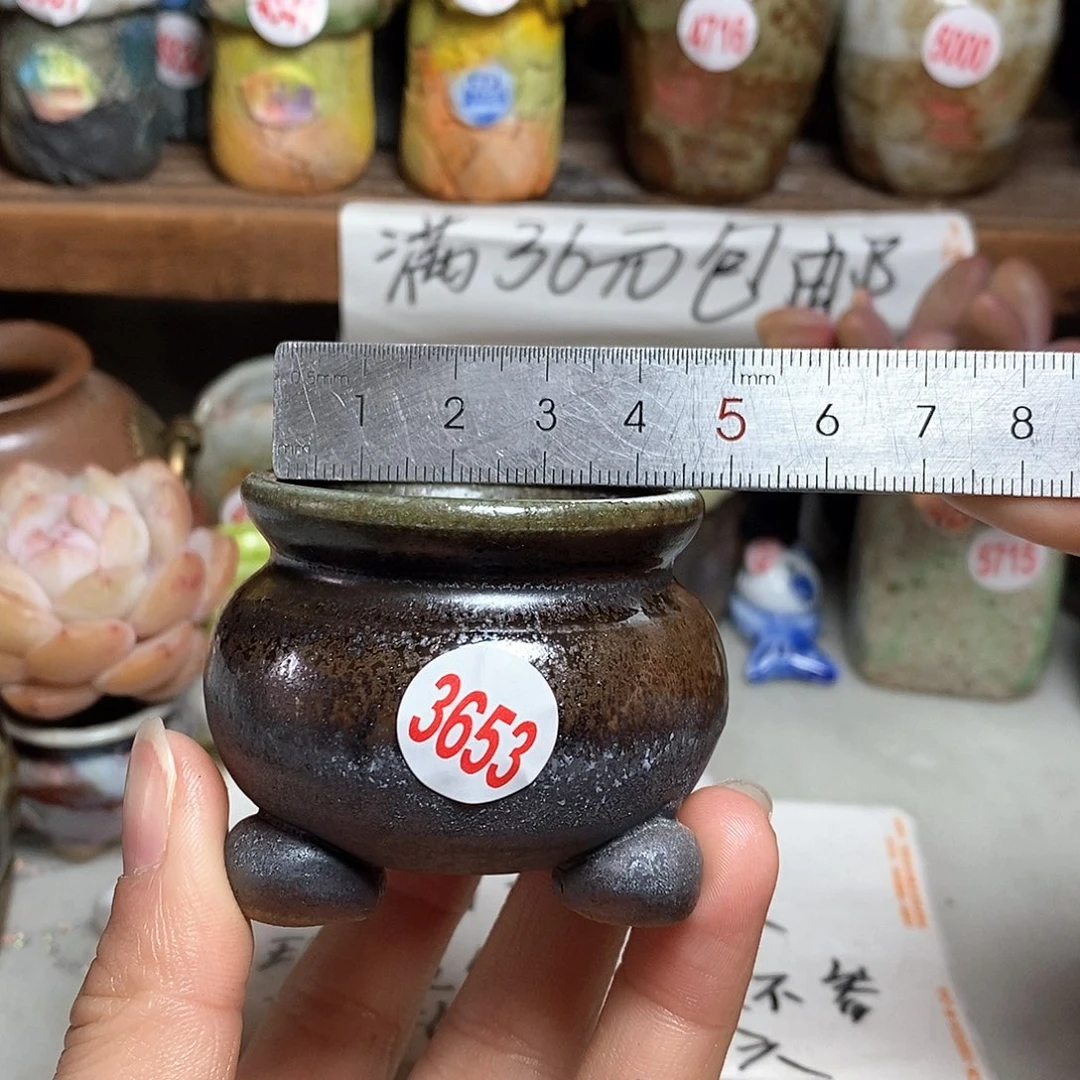 红陶拍5送一个小