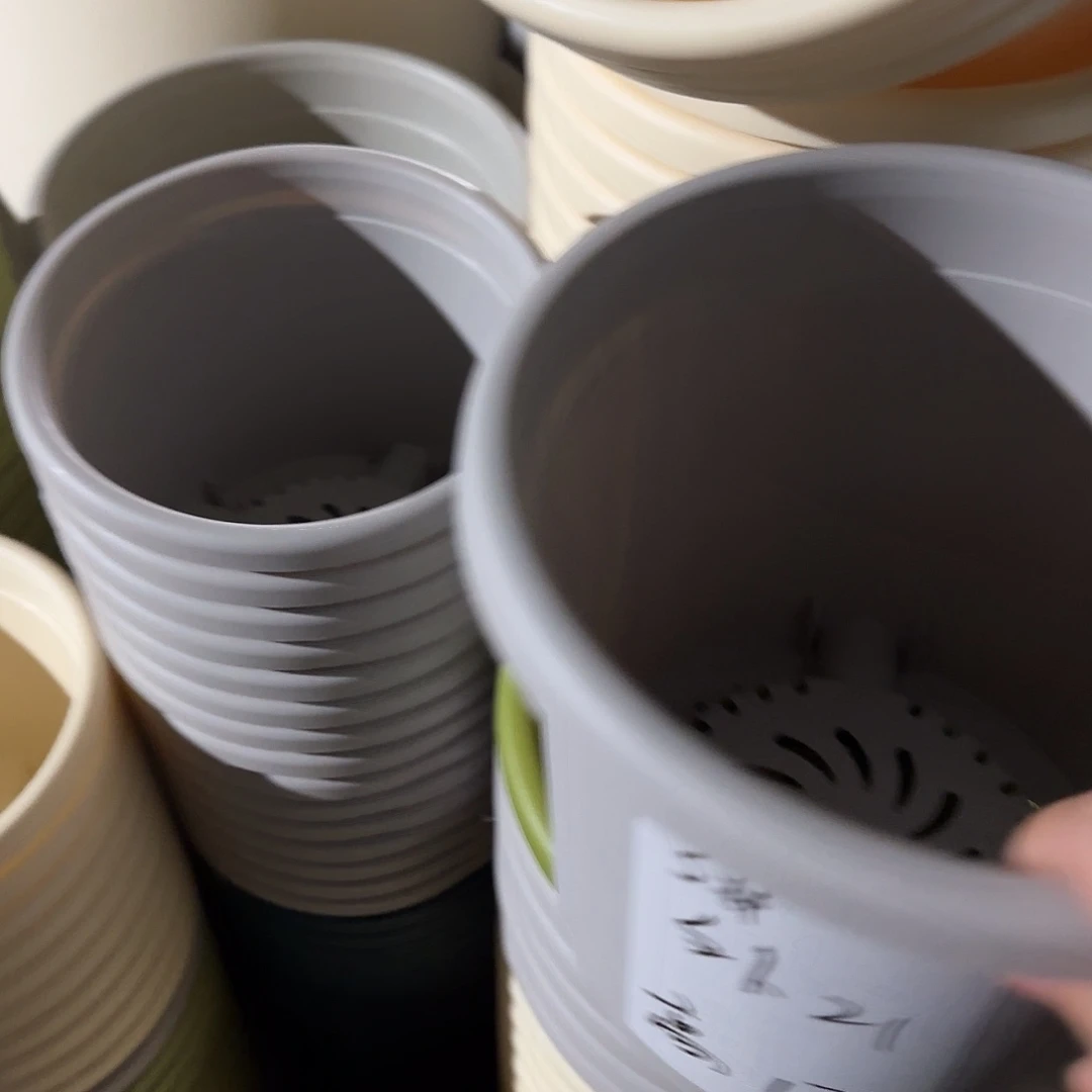 树脂四季3号无托10个灰白微瑕