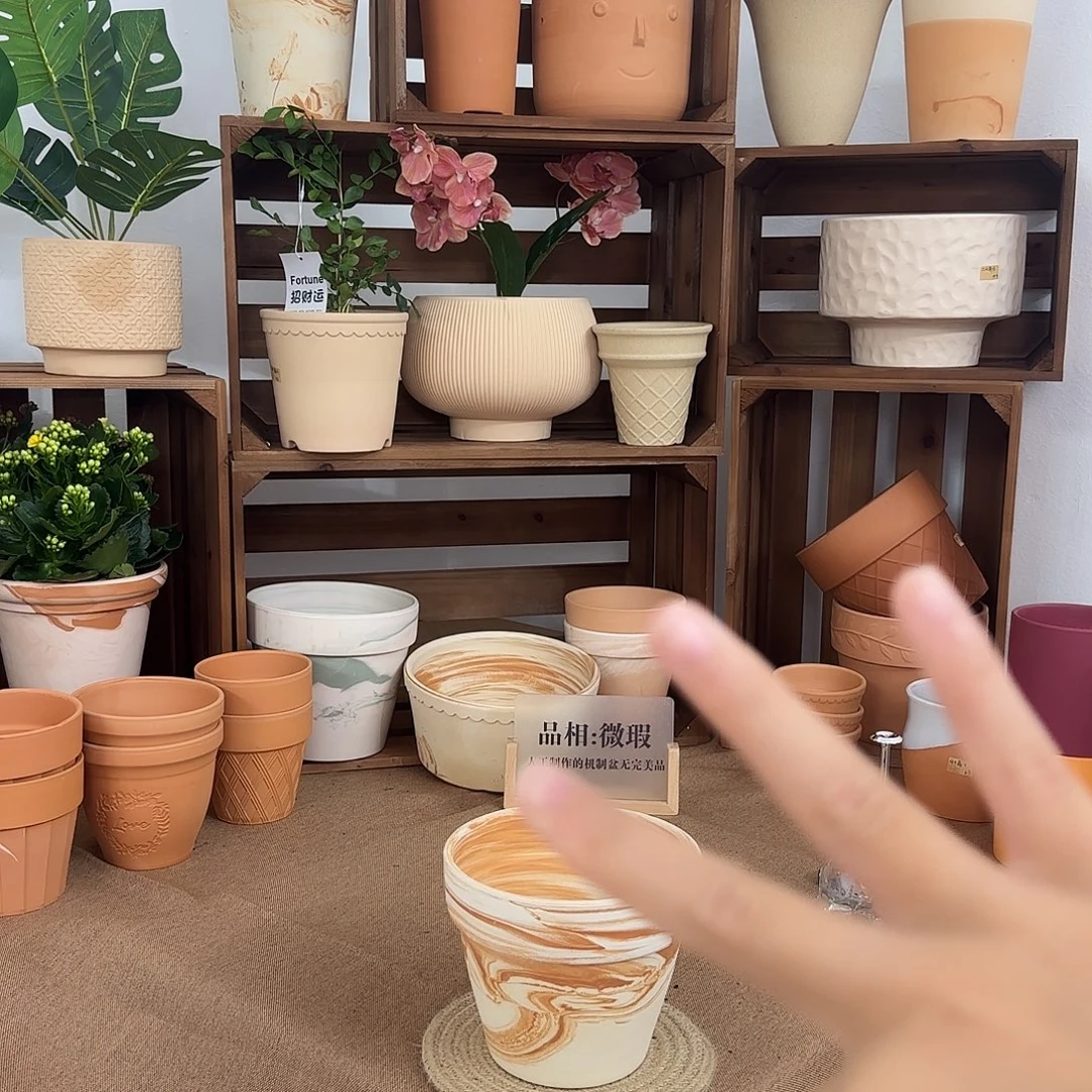 微瑕橘里橘气标准国际盆15口13高3个